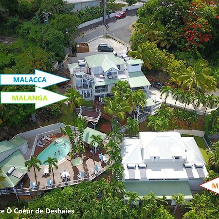 Studio Malacca, Malanga Et Majacudja - O Coeur De Deshaies Exterior photo